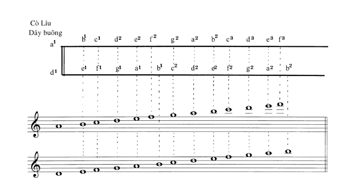 Coliudan.gif (26431 bytes)