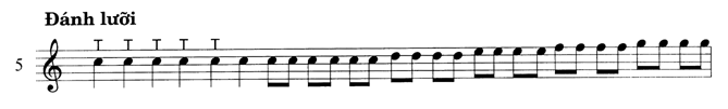 Sao311.5.gif (14616 bytes)