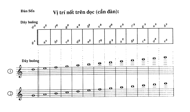 SenVitrinot.gif (48561 bytes)