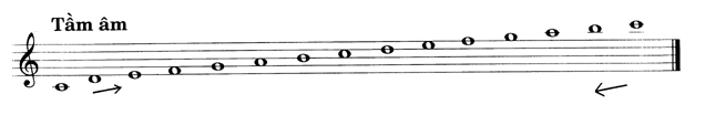 Tieu314.1.gif (10639 bytes)