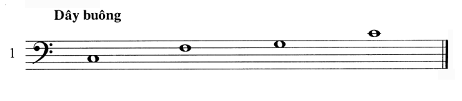 Ty068-1.gif (11920 bytes)