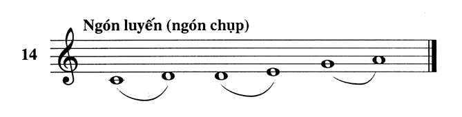 Ty080.14.gif (14650 bytes)